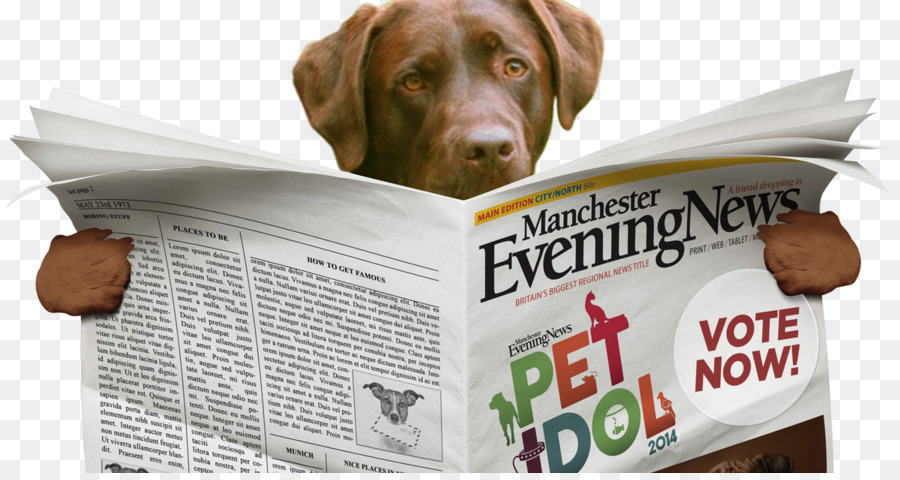 Jornal De Leitura De Cachorro，Jornal PNG