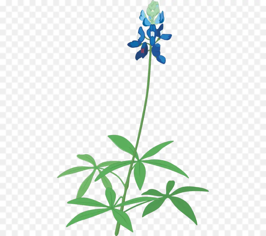 Boné Azul，Flor PNG