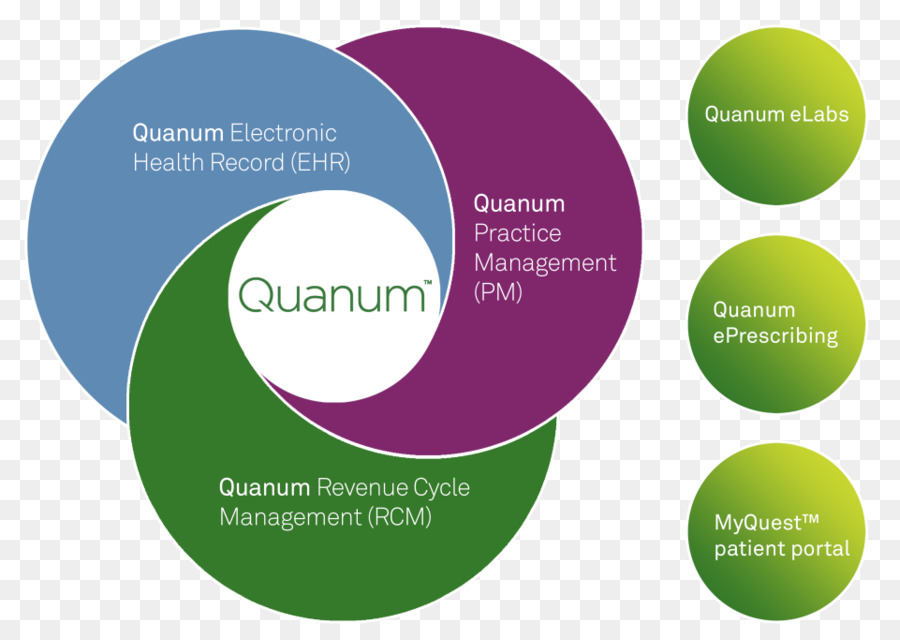 A Receita De Gestão Do Ciclo De，Quest Diagnostics PNG