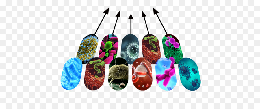 Metagenomics，O Micro Organismo PNG