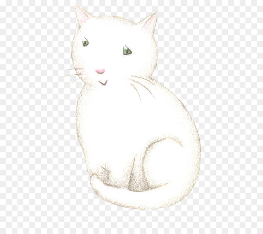 Gato Branco，Gato PNG