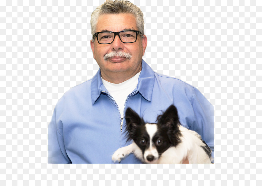 Raça Do Cão，Filhote De Cachorro PNG