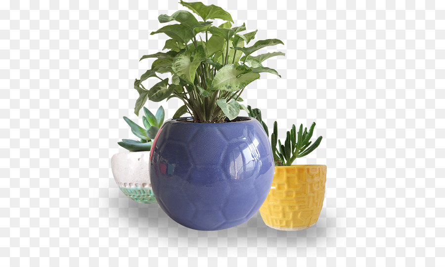 Flowerpot，Cerâmica PNG