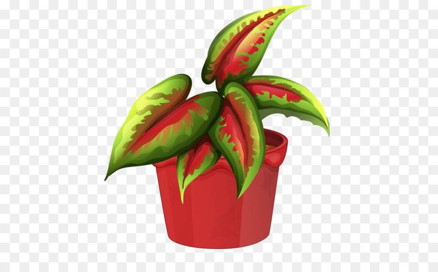 Planta Verde E Vermelha，Folhas PNG