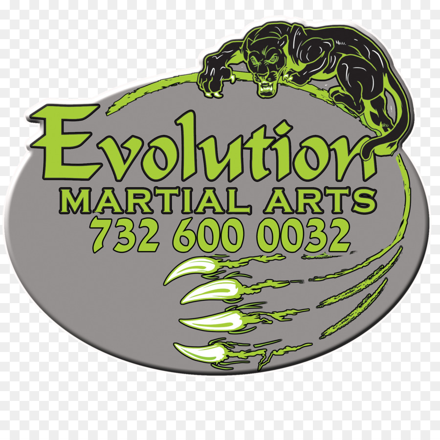 Evolução Das Artes Marciais，Artes Marciais Mistas PNG