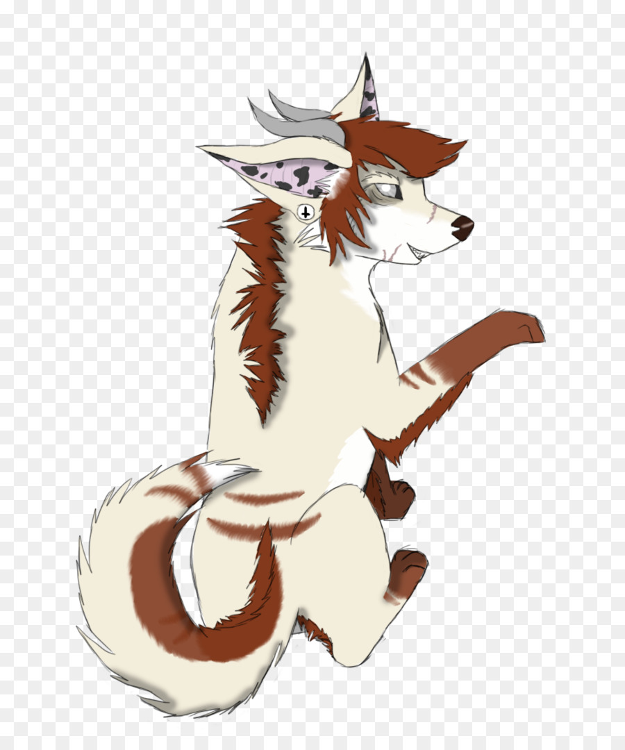 Gato，Raposa Vermelha PNG