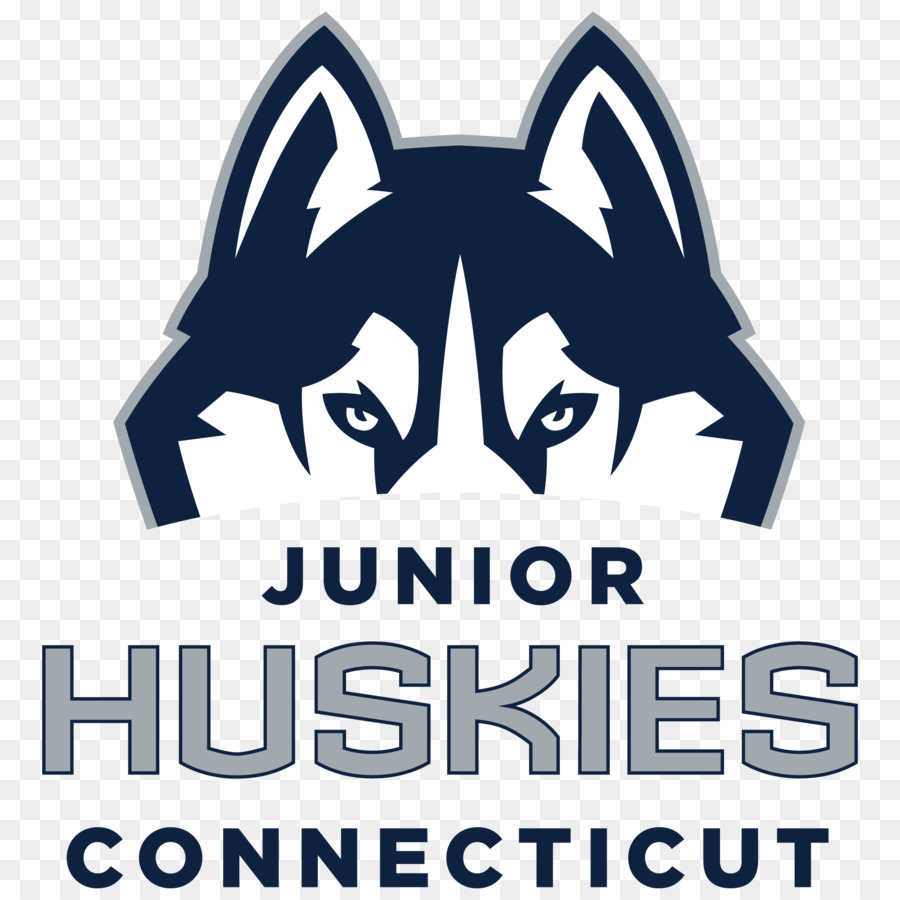 Universidade De Connecticut，Connecticut Huskies Masculino De Hóquei No Gelo PNG