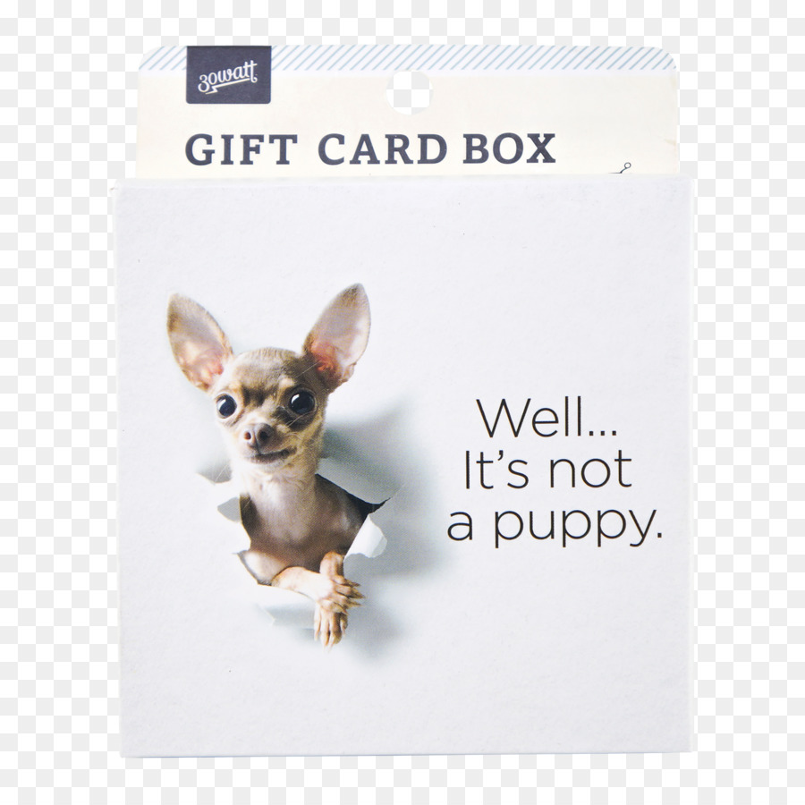 Chihuahua，Royaltyfree PNG