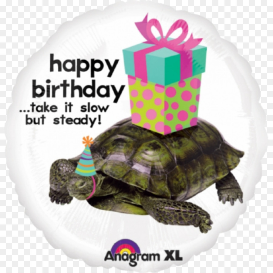 Turtle，Aniversário PNG