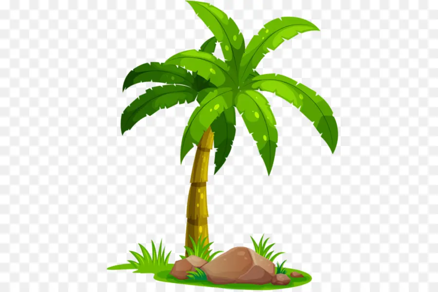 Coco，Arecaceae PNG