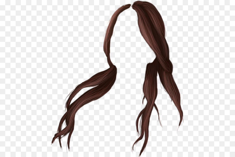 Cabelos Longos，Cabelo Castanho PNG