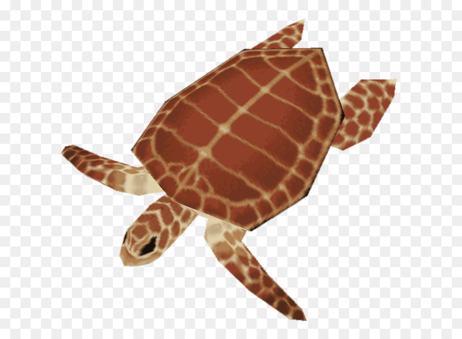 Tartaruga Cabeçuda，Turtle PNG