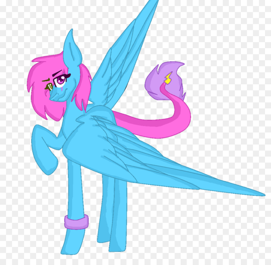 Cavalo，Aves PNG