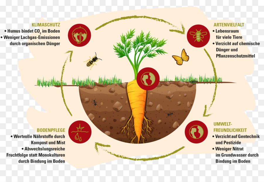 Alimentos Orgânicos，Agricultura Biológica PNG