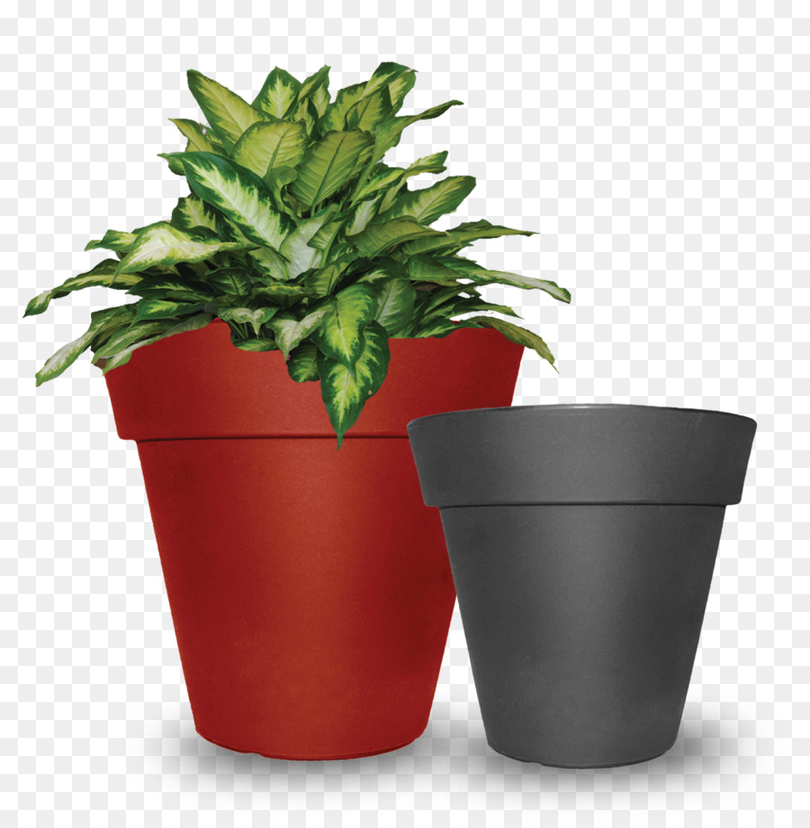 Flowerpot，Tusco Produtos PNG