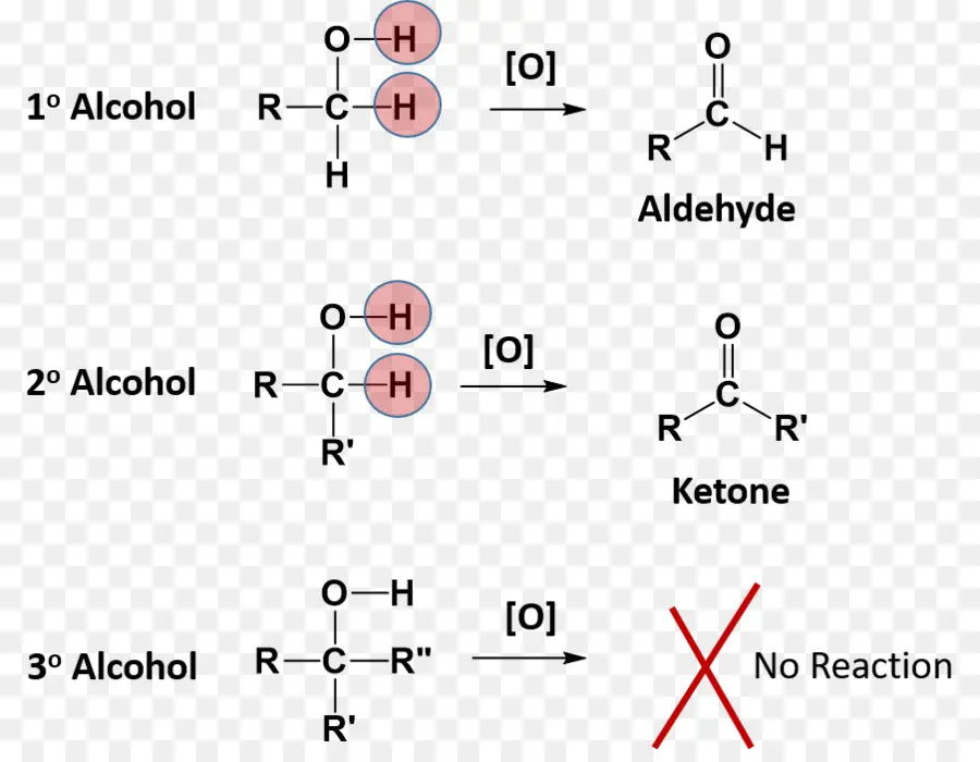 Oxidação De Álcool，Química PNG