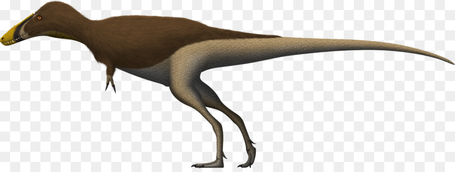 Alioramus，Qianzhousaurus PNG
