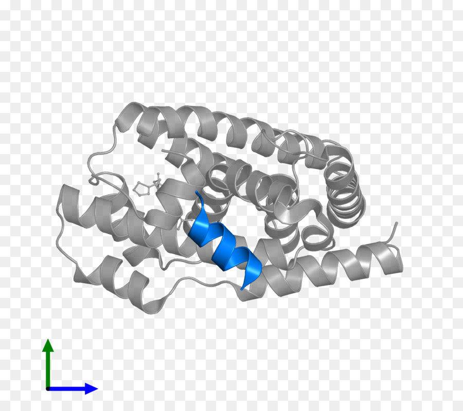 Receptor De Farnesoid X，Pregnane X Receptor PNG