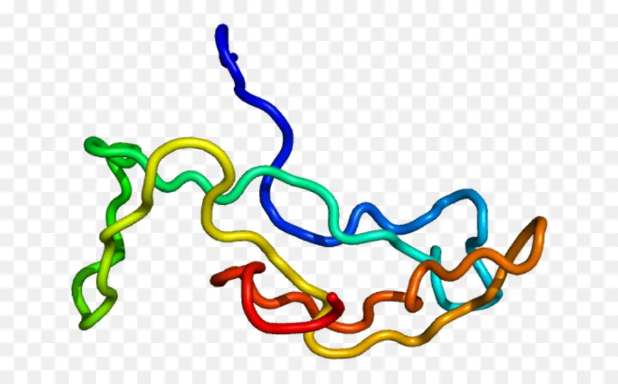 Estrutura Proteica Colorida，Biologia PNG