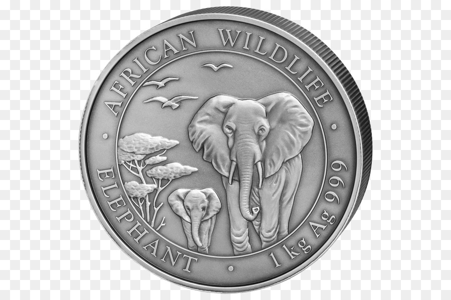 Moeda，Elefante Africano PNG