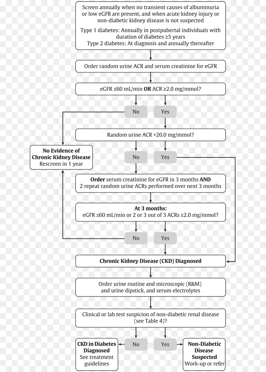 Diabetes Mellitus，Doença Renal Crônica PNG