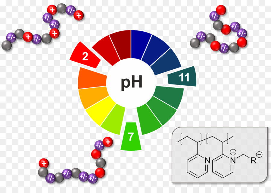 2vinylpyridine，Polyampholytes Síntese Caracterização E Aplicação De PNG