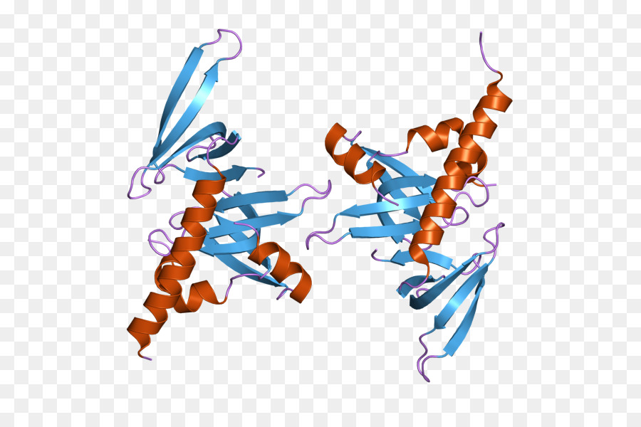 Gemassociated Proteína 6，Gemassociated Proteína 7 PNG