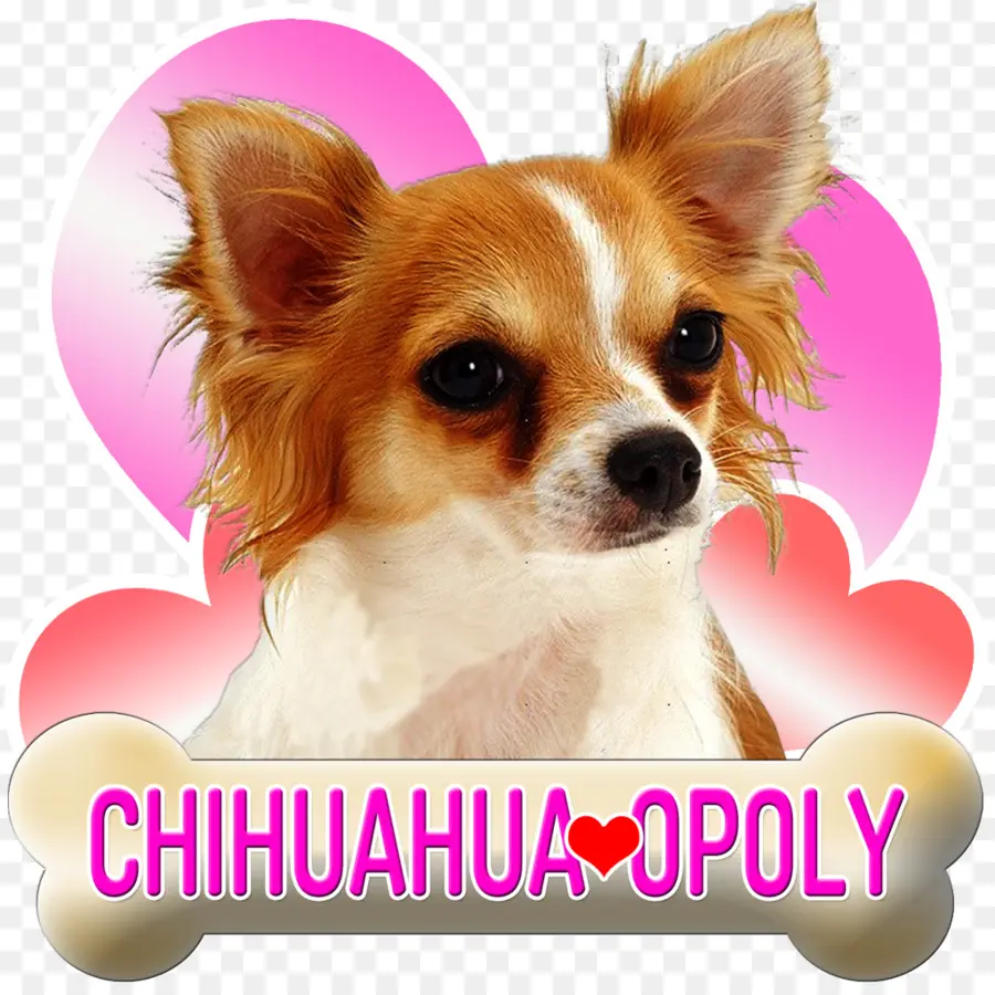 Chihuahua，Cachorro PNG