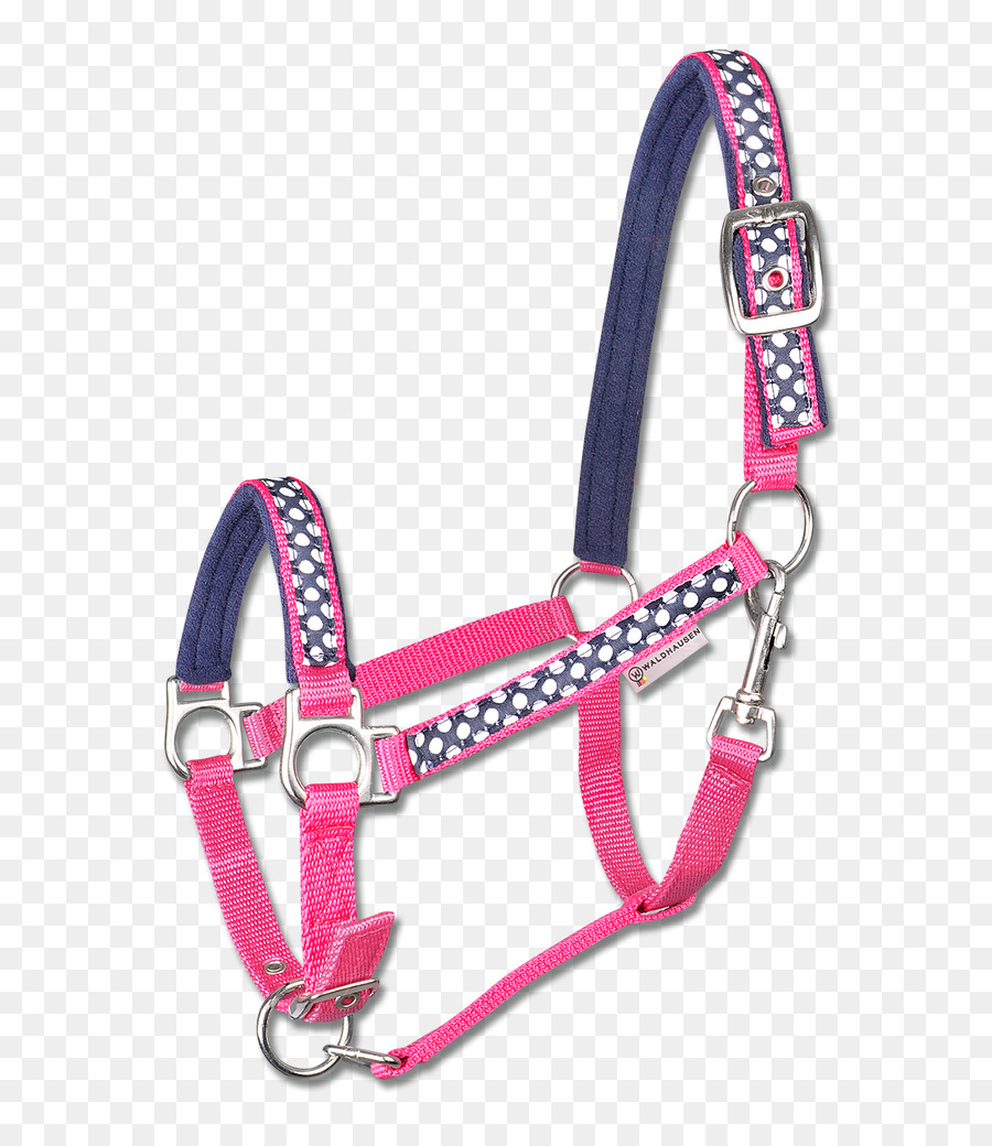 Cavalo，Halter PNG