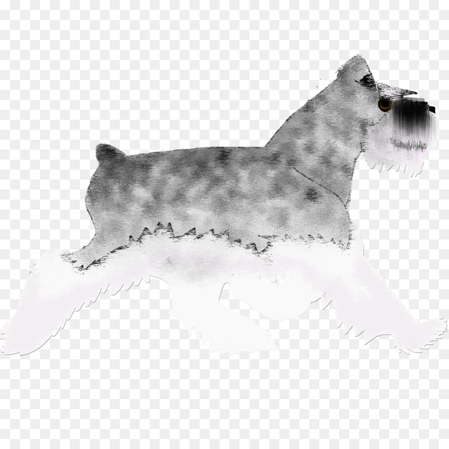 Schnauzer Miniatura，Lakeland Terrier PNG