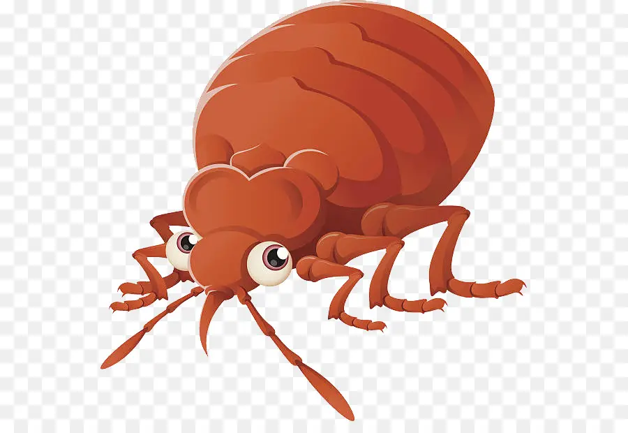 Bug De Desenho Animado，Vermelho PNG