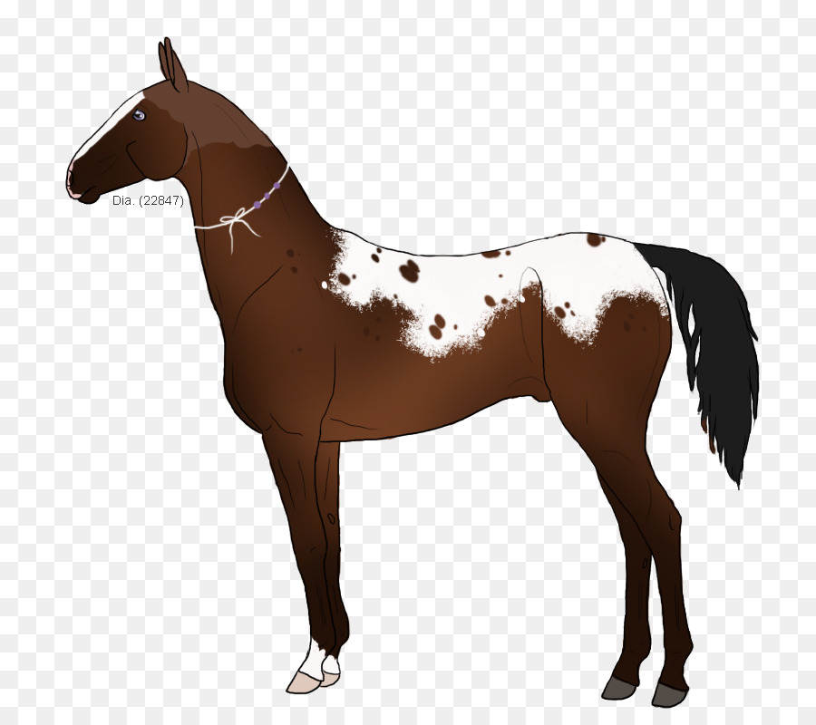 Mustang，Mane PNG