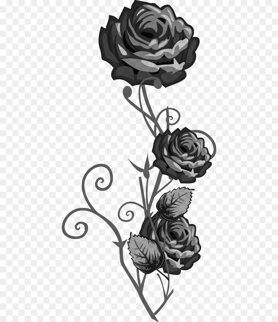 as rosas do jardim preto e branco preto png transparente grátis