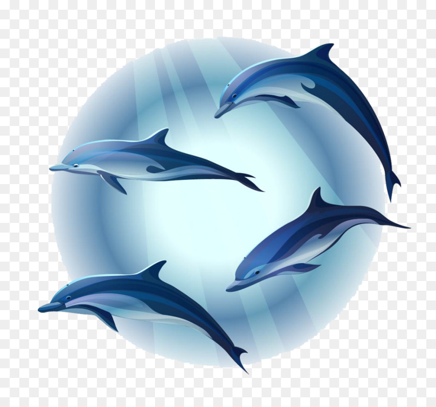 Dolphin，Mural PNG