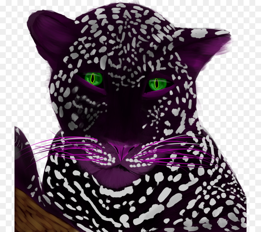 Gato，Bigodes PNG