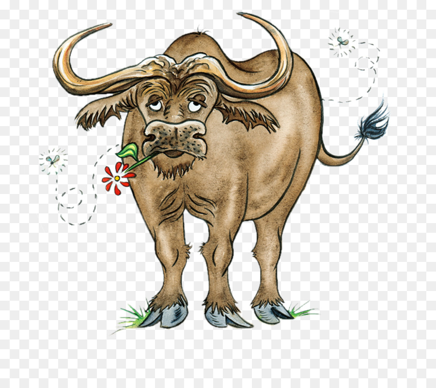 Bull，Gado PNG