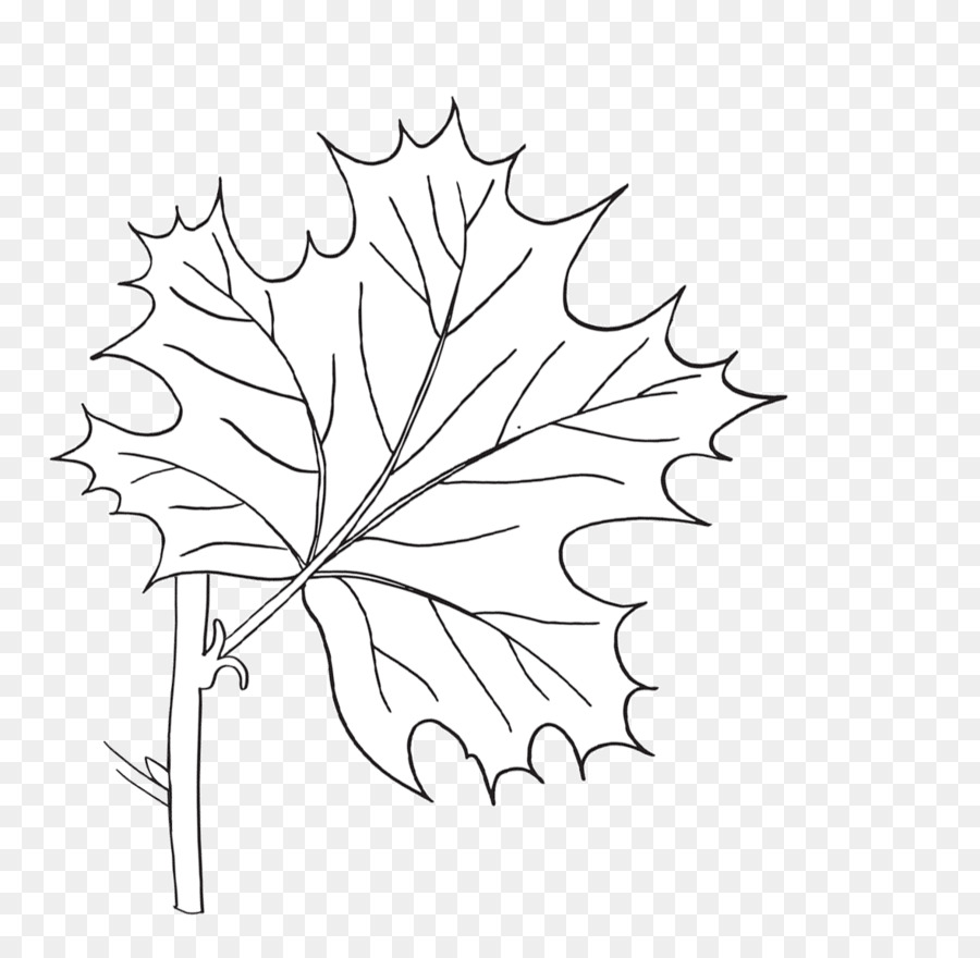 Galho，Maple Leaf PNG