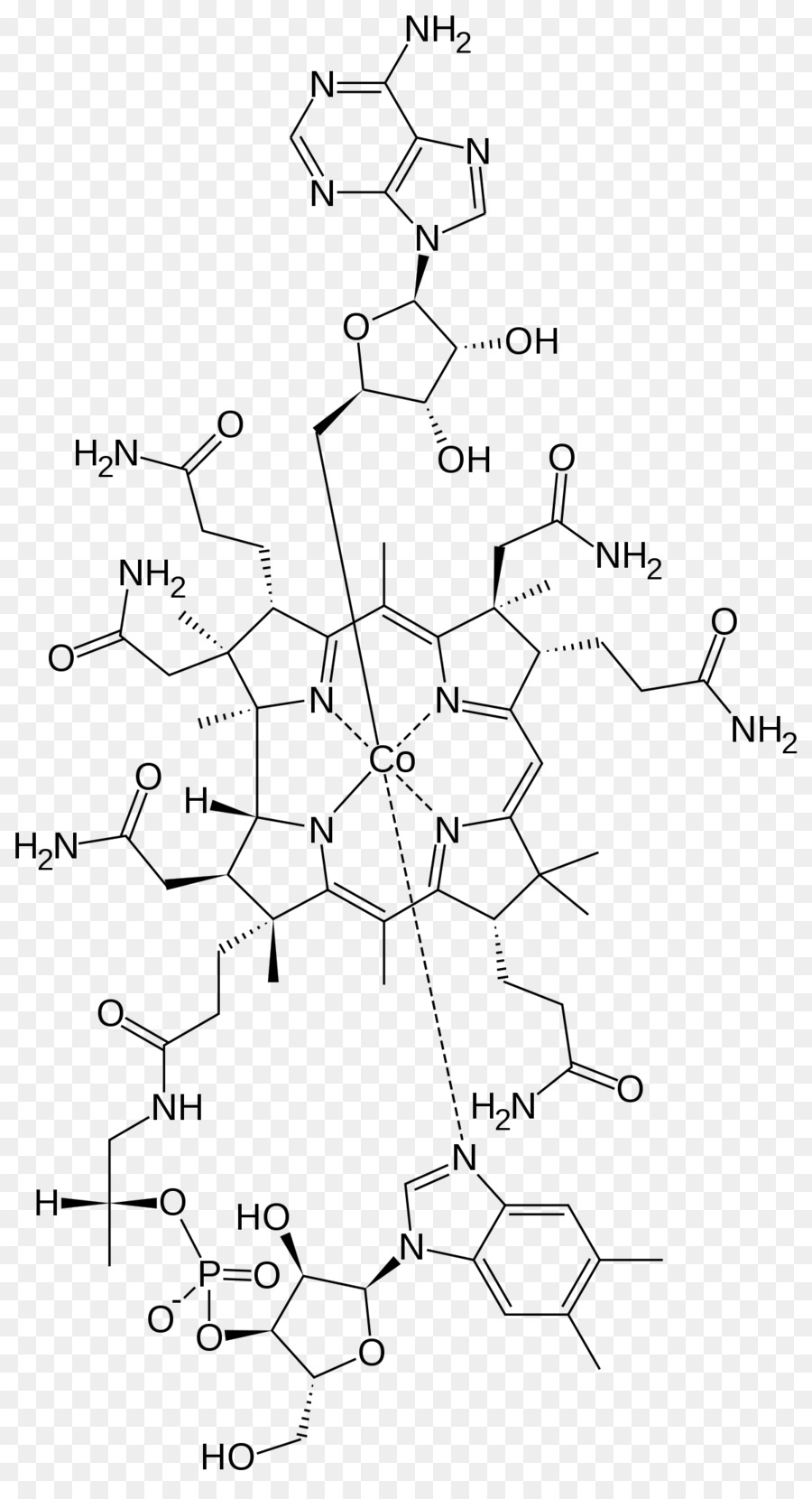 Estrutura Química，Molécula PNG