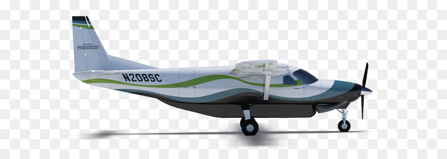 Pequeno Avião，Asas PNG