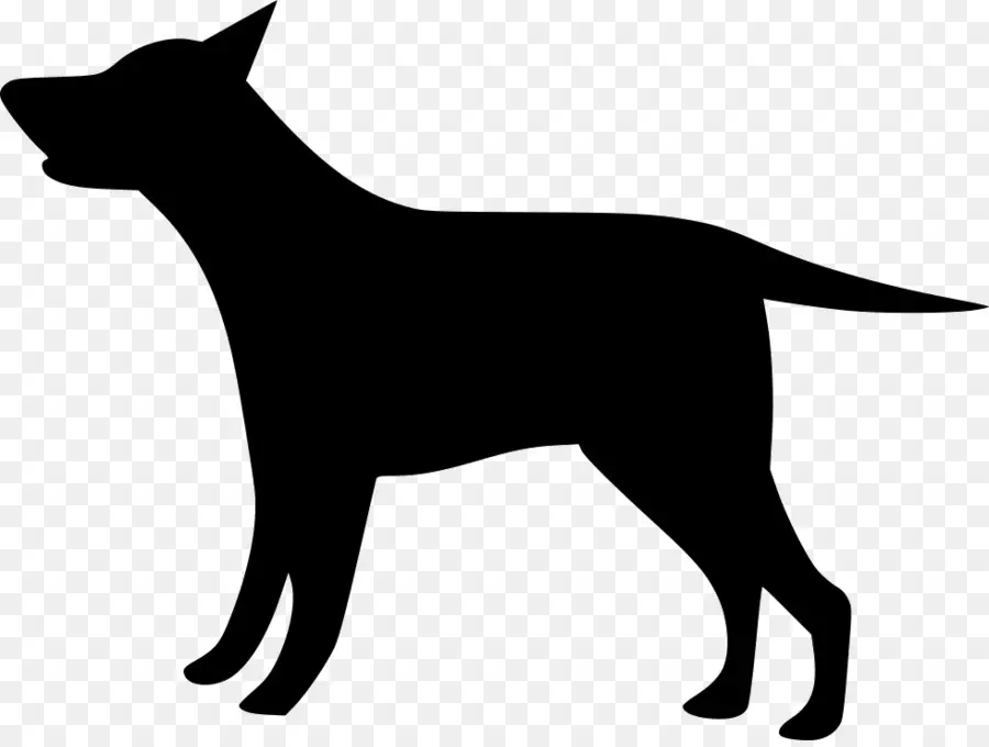 Silhueta De Cachorro Preto，Canino PNG