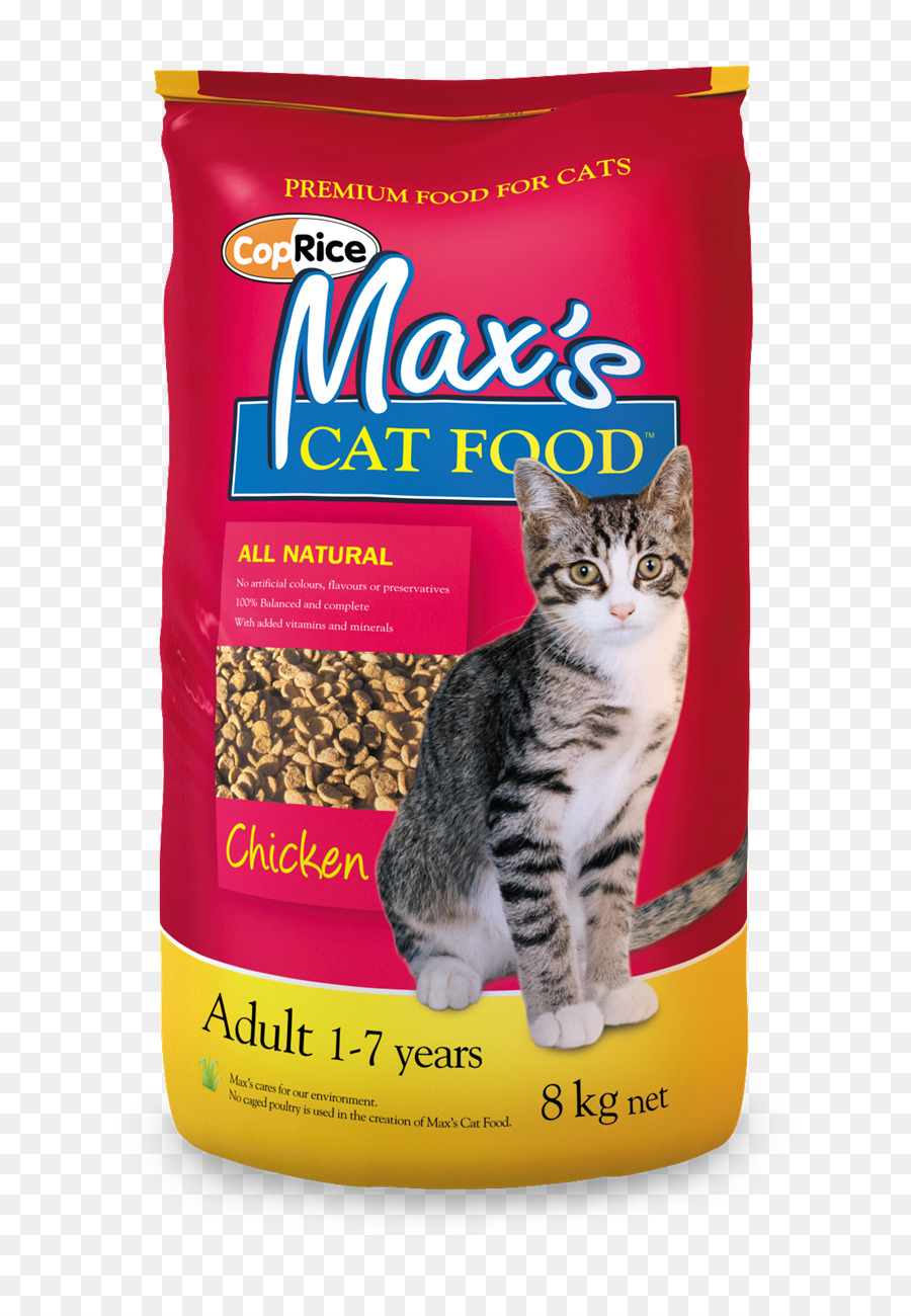 Gato，Comida De Gato PNG