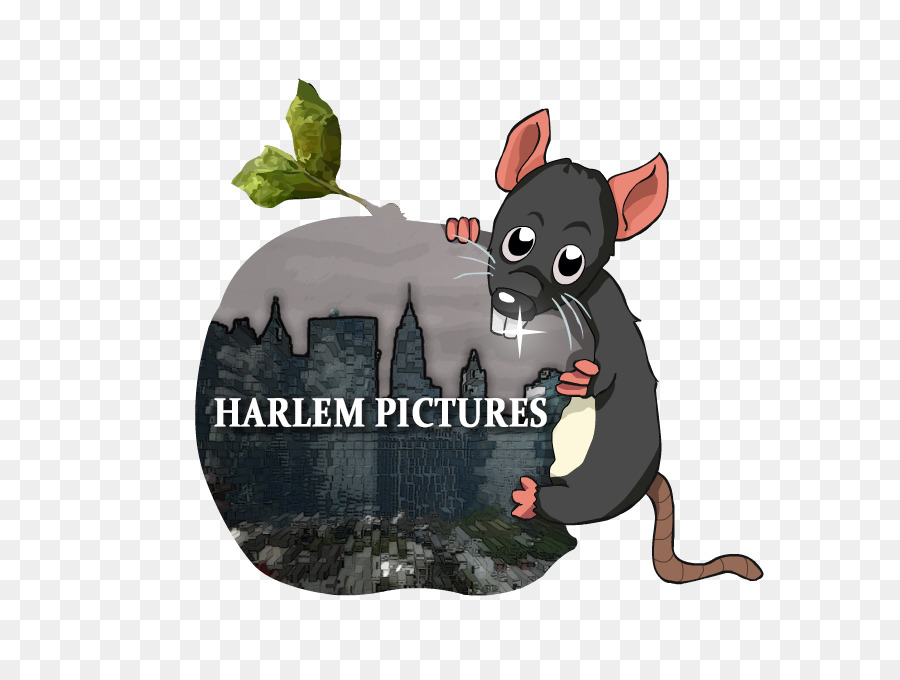 Harlem Imagens，Direção De Fotografia PNG