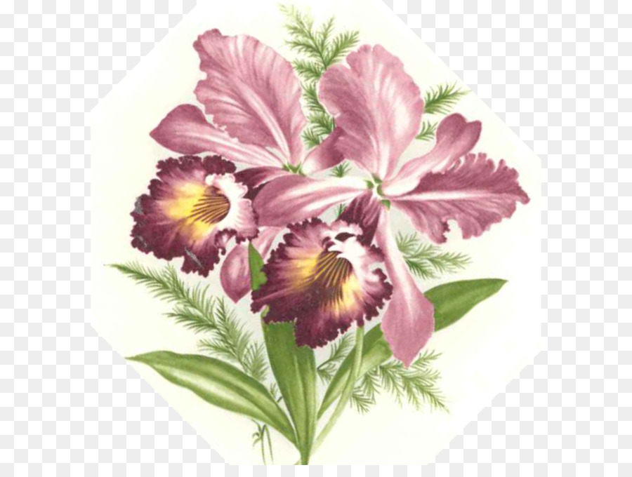 Design Floral，Flor PNG