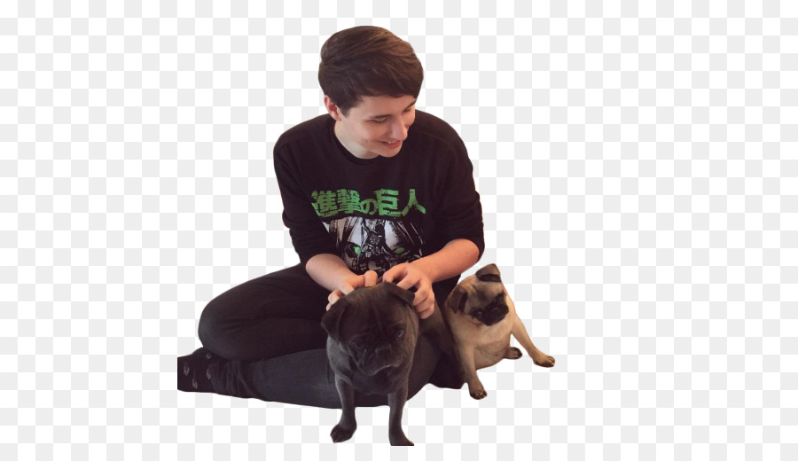 Pug，Dan E Phil PNG