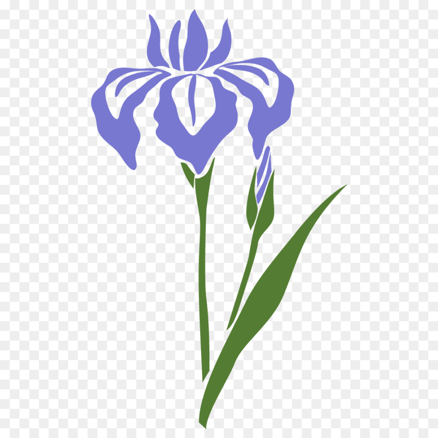 Flor De íris，Roxo PNG