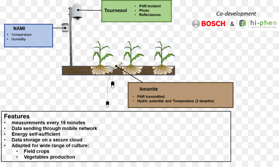 Diagrama De，Linha PNG