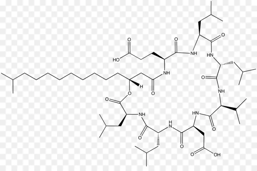 Estrutura Química，Molécula PNG