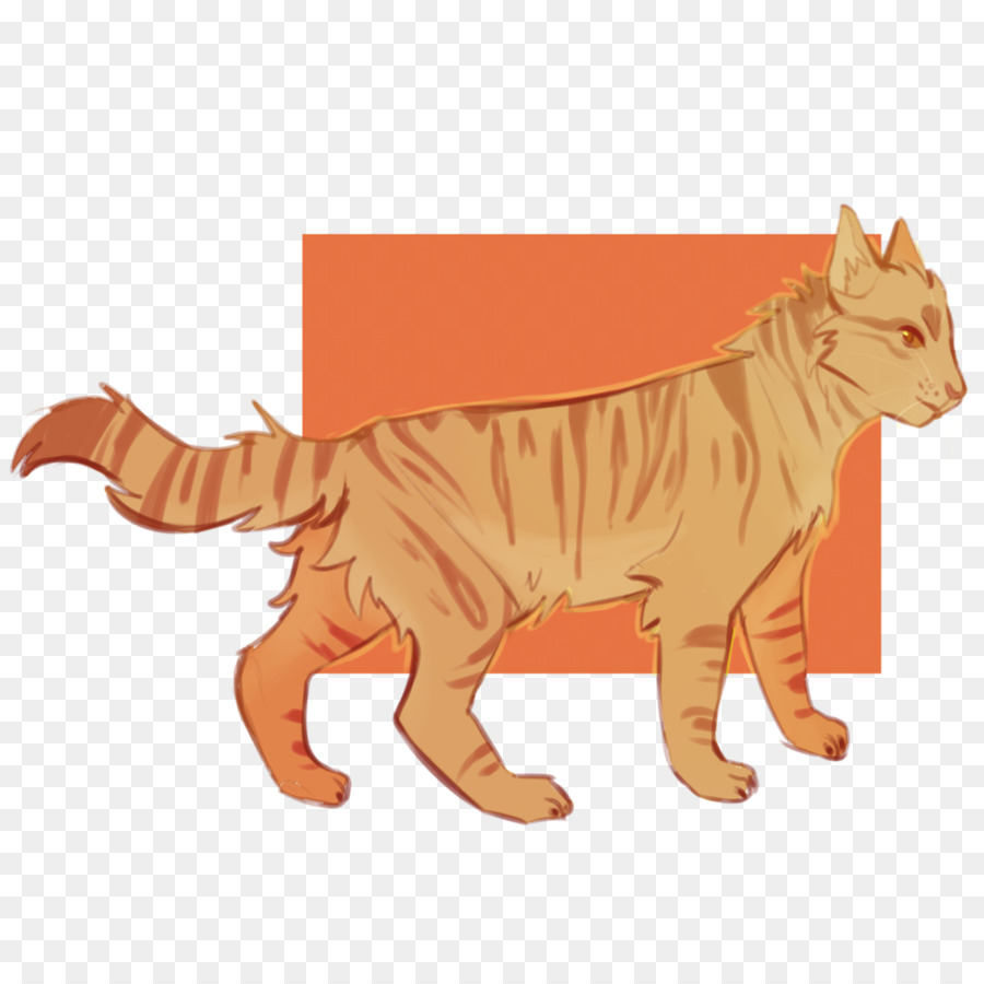 Tigre，Gato PNG