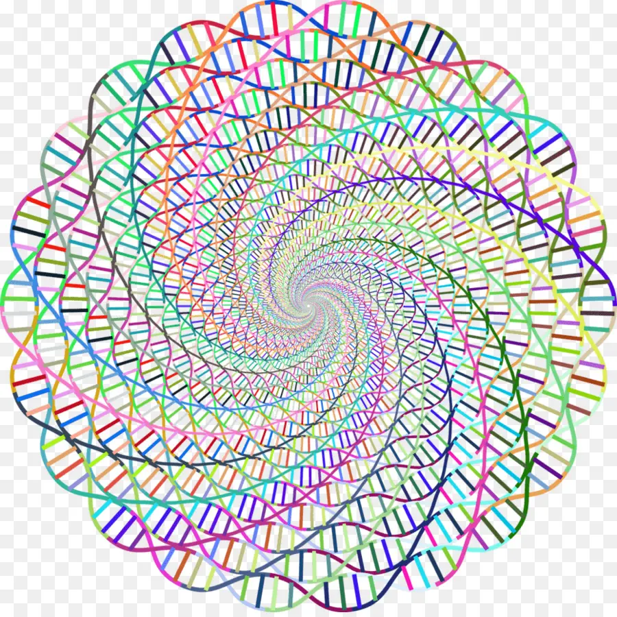 Dna，ácido Nucleico Dupla Hélice PNG