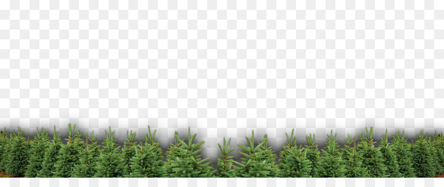 Crop，Gramado PNG